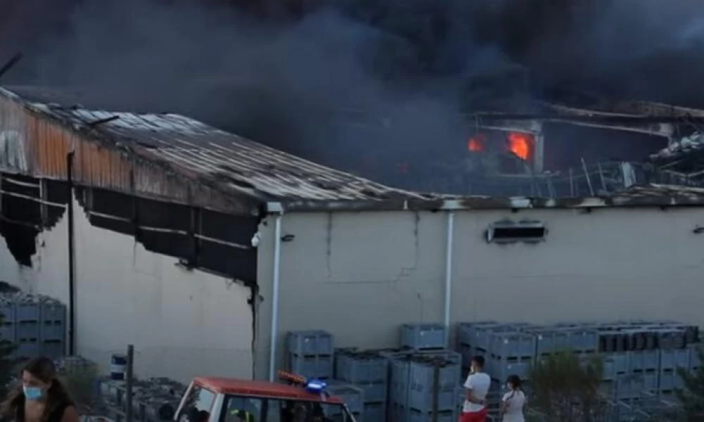Κρίμα κι άδικο! Έγιναν...καπνιστά χιλιάδες ζαμπόν στη Γρανάδα (Βίντεο)